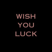 WISH YOU LUCK logo - Similar company to Maiimi