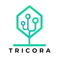 Tricora logo - Similar company to Dzemo Studio