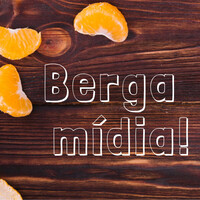Bergamídia logo - Similar company to Lança Filmes