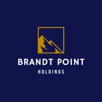 Brandt Point Holdings logo - Similar company to Sensory Interactive