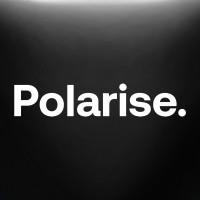 Polarise logo - Similar company to Ngb As - Part Of Polarise