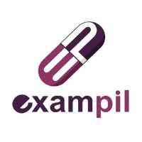 Exampil Solutions Pvt. Ltd. logo - Similar company to Dinosys Infotech Pvt. Ltd.