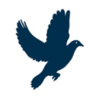 Dovetail Investment Group logo - Similar company to Full 360