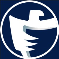 Falcon Inc. logo - Similar company to Tacdyn Security
