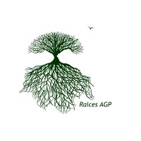 RAÍCES AGP logo - Similar company to Trading Logistics Management Spa ( Tlm )