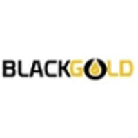 BlackGold Resumes, LLC logo - Similar company to Drilcor