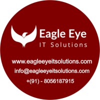 Eagle Eye IT Solutions logo - Similar company to It Eagle Eye