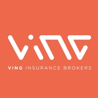 VING Insurance Brokers Ltd. logo - Similar company to Camel Brand
