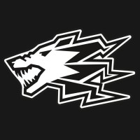 WOLF GANG logo - Similar company to Wolfgang Lehner