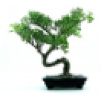 Virtualeserve