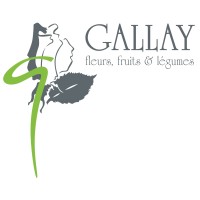 Gallay Fleurs Fruits & Légumes logo - Similar company to La Jonx -  Graphic Workshop