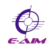 E-AIM logo - Similar company to Ace Genesis