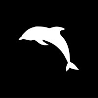 Dolphin AI logo - Similar company to One Strategy Studio
