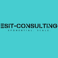 ESIT-Consulting logo - Similar company to Dda-Consulting