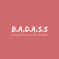 B.A.D.A.S.S logo - Similar company to Nocode 4 Change