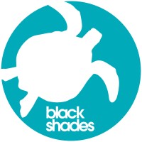 Black Shades logo - Similar company to Blackshade