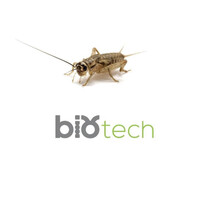 BIOTECH ACTIVITIES logo - Similar company to Albinsecta