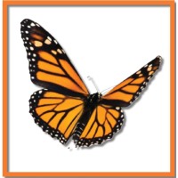 Metamorphosis Consulting logo - Similar company to The Talented Indian