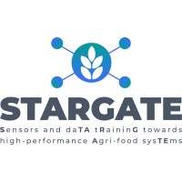 STARGATE logo - Similar company to Stargate Llc