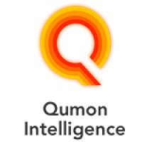 Qumon Intelligence logo - Similar company to Lusory