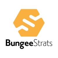 BungeeStrats LLC logo - Similar company to Managed Care Advisory Group