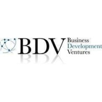 BDV Inspections logo - Similar company to Idi Group Llc.