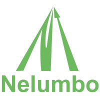 Nelumbo Technologies Pvt Ltd logo - Similar company to Technociv Technologies