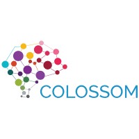 Colossom IT Solutions (P) Ltd logo - Similar company to Accendia Technologies Pvt. Ltd