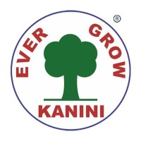 Kanini technology logo - Similar company to Dream Technologies