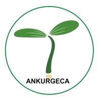 AnkurGECA Incubation Centre Foundation logo - Similar company to Chubbytrader