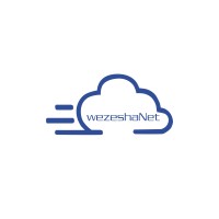 WezeshaNet Technologies Ltd logo - Similar company to System Solution Group Sas