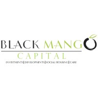 BLACK MANGO CAPITAL GROUP logo - Similar company to Scm Direct