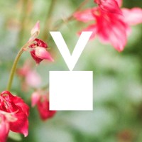 Vivero Pocochay Ltda. logo - Similar company to Vivero