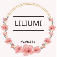 LILIUMI ・ლილიუმი logo - Similar company to Ref.Ge