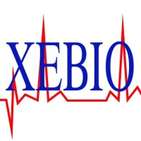 Xebio logo - Similar company to Xebio Co., Ltd.
