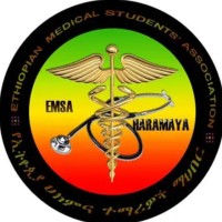 EMSA_HARAMAYA logo - Similar company to Great Ethiopian Run