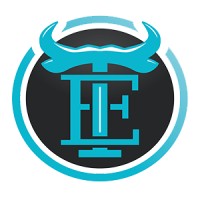 Traders Edge Group logo - Similar company to Flow Integrative