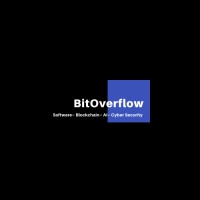 BitOverflow logo - Similar company to Lych3E