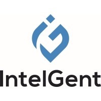 Intelgent Management Consultancies logo - Similar company to Nqubator