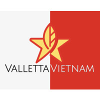 VallettaVietnam logo - Similar company to J3D.Ai (Jedi)