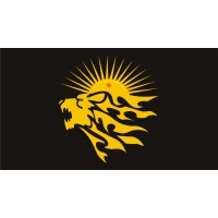Element199 Solutions logo - Similar company to Rapid Stack Technologies