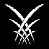 Grafted Pictures logo - Similar company to Northern Eagle Beverage Company