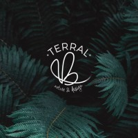Terral logo - Similar company to Devlyn Holdings