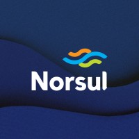 Norsul Alimentos logo - Similar company to Faba Alimentos