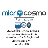 Microcosmo Consulenze logo - Similar company to Effe Diligence