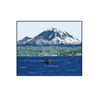 Salus Resources, Inc logo - Similar company to Responsive Management