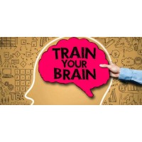 Knowledge brain logo - Similar company to First Point It Solutions