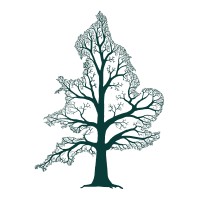 Crown Consultants Ltd logo - Similar company to Budding Tree Consultancy