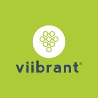 Viibrant logo - Similar company to Carevium