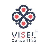 Visel Consulting logo - Similar company to Rizomedia